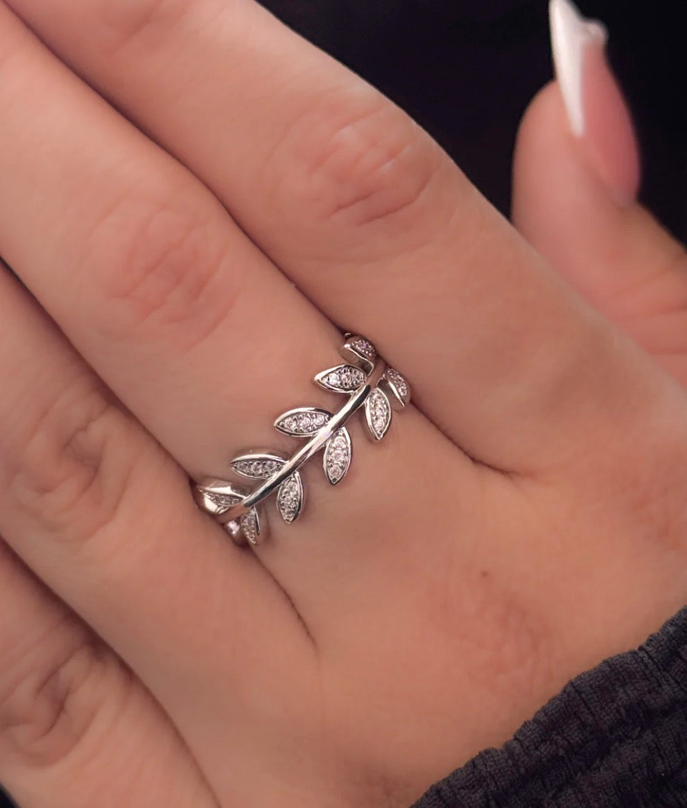 Anis Ring