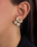 Violet Earrings